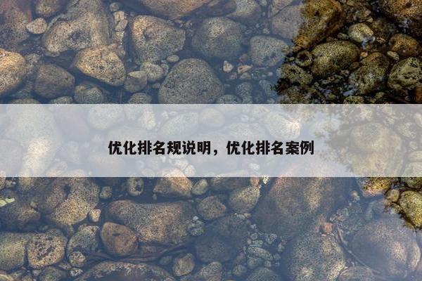 优化排名规说明，优化排名案例