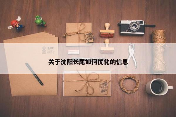关于沈阳长尾如何优化的信息