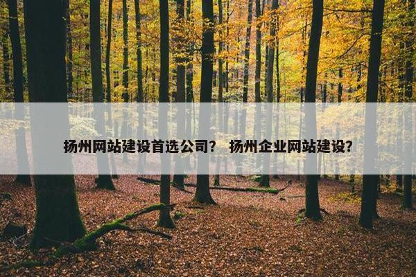 扬州网站建设首选公司？ 扬州企业网站建设？