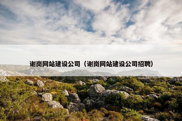 谢岗网站建设公司（谢岗网站建设公司招聘）