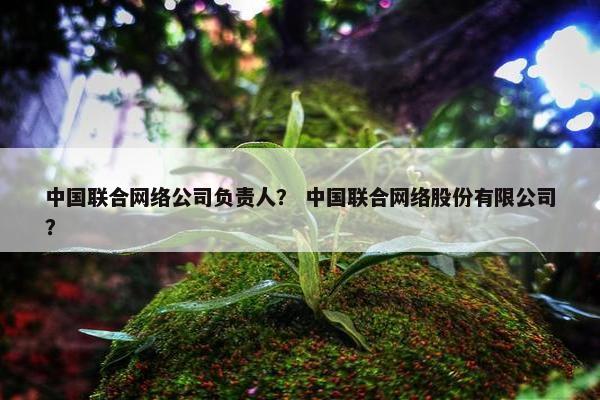 中国联合网络公司负责人？ 中国联合网络股份有限公司？