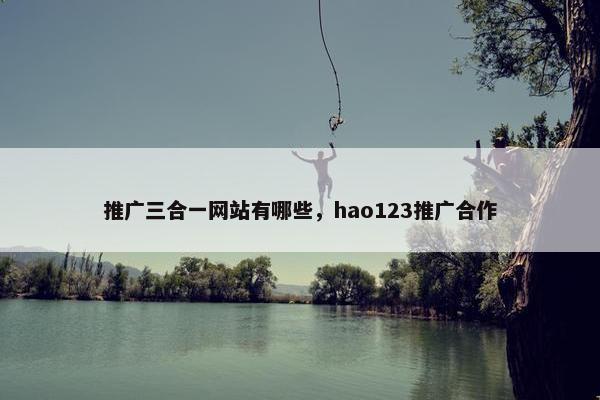 推广三合一网站有哪些，hao123推广合作