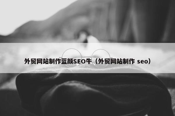 外贸网站制作蓝颜SEO牛（外贸网站制作 seo）