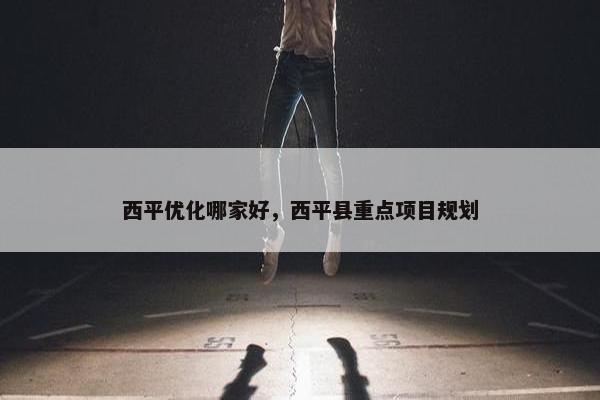 西平优化哪家好，西平县重点项目规划