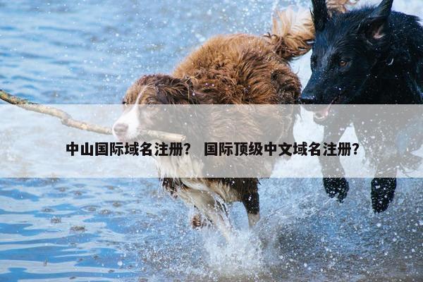 中山国际域名注册？ 国际顶级中文域名注册？