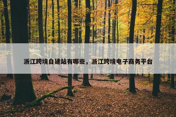 浙江跨境自建站有哪些，浙江跨境电子商务平台