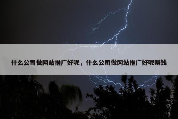 什么公司做网站推广好呢，什么公司做网站推广好呢赚钱