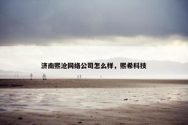 济南熙沧网络公司怎么样，熙希科技