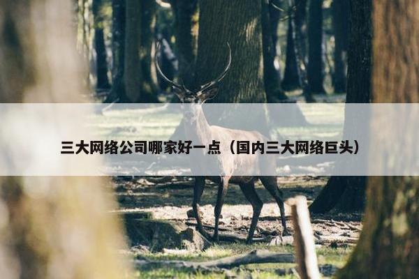 三大网络公司哪家好一点（国内三大网络巨头）