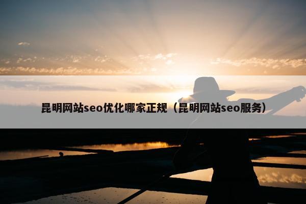 昆明网站seo优化哪家正规（昆明网站seo服务）