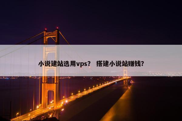 小说建站选用vps？ 搭建小说站赚钱？