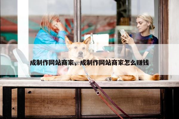 成制作网站商家，成制作网站商家怎么赚钱