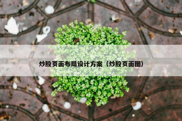炒股页面布局设计方案（炒股页面图）