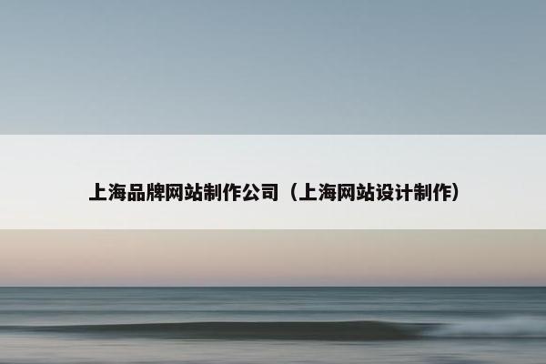 上海品牌网站制作公司（上海网站设计制作）