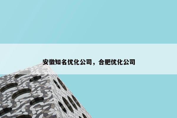 安徽知名优化公司，合肥优化公司