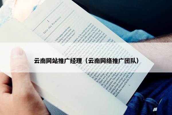 云南网站推广经理（云南网络推广团队）
