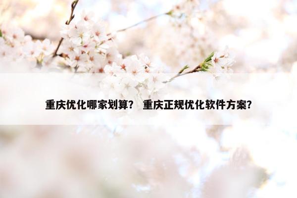 重庆优化哪家划算？ 重庆正规优化软件方案？