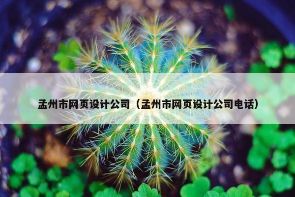 孟州市网页设计公司（孟州市网页设计公司电话）