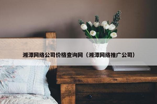 湘潭网络公司价格查询网（湘潭网络推广公司）