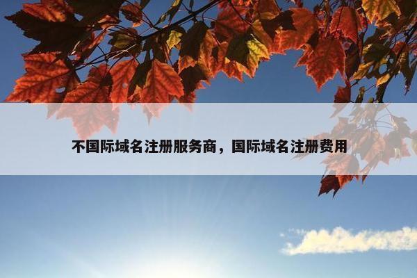 不国际域名注册服务商，国际域名注册费用