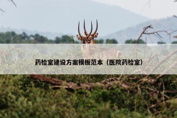 药检室建设方案模板范本（医院药检室）