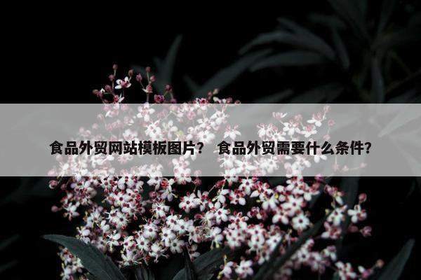 食品外贸网站模板图片？ 食品外贸需要什么条件？