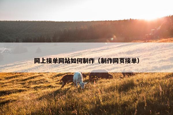 网上接单网站如何制作（制作网页接单）
