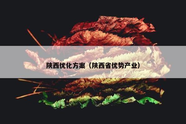 陕西优化方案（陕西省优势产业）