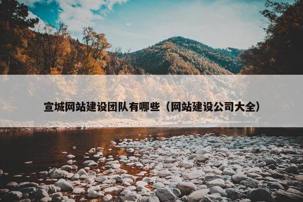 宣城网站建设团队有哪些（网站建设公司大全）