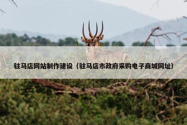 驻马店网站制作建设（驻马店市政府采购电子商城网址）