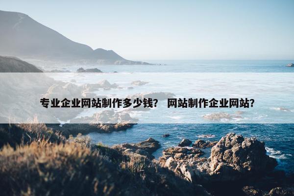 专业企业网站制作多少钱？ 网站制作企业网站？