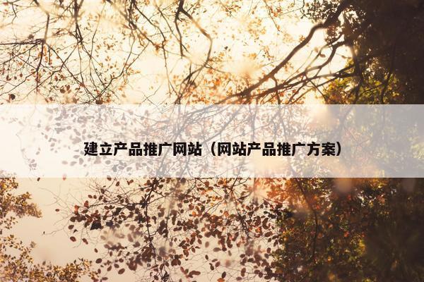 建立产品推广网站（网站产品推广方案）