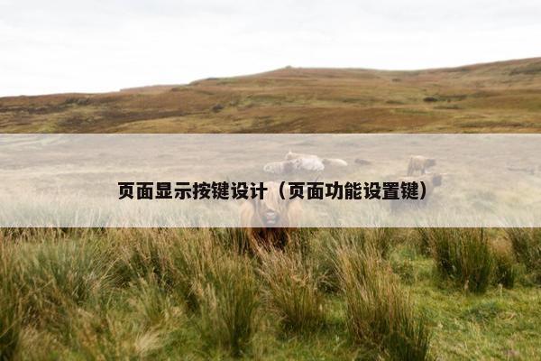 页面显示按键设计（页面功能设置键）