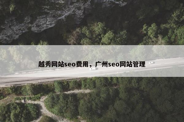 越秀网站seo费用，广州seo网站管理