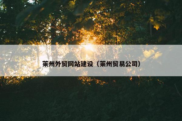 莱州外贸网站建设（莱州贸易公司）