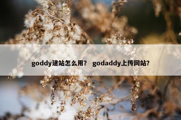 goddy建站怎么用？ godaddy上传网站？
