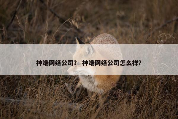 神端网络公司？ 神端网络公司怎么样？