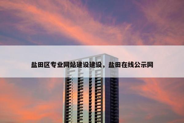 盐田区专业网站建设建设，盐田在线公示网