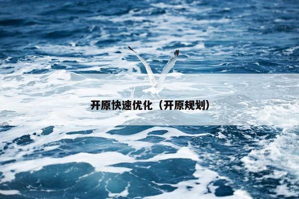 开原快速优化（开原规划）
