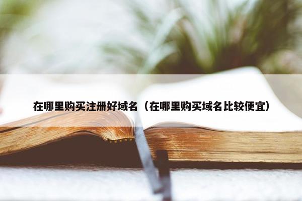 在哪里购买注册好域名（在哪里购买域名比较便宜）