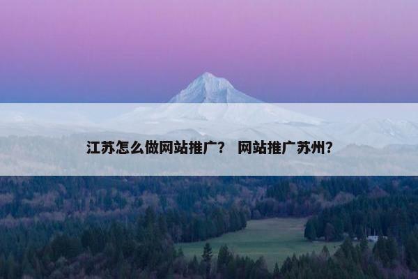 江苏怎么做网站推广？ 网站推广苏州？