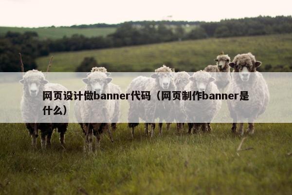 网页设计做banner代码（网页制作banner是什么）
