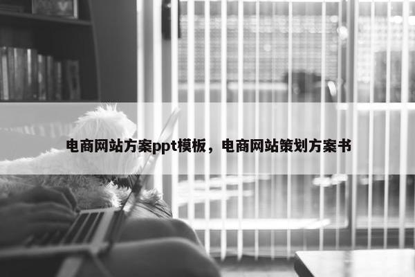电商网站方案ppt模板，电商网站策划方案书