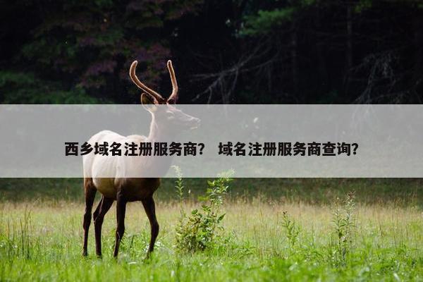 西乡域名注册服务商？ 域名注册服务商查询？