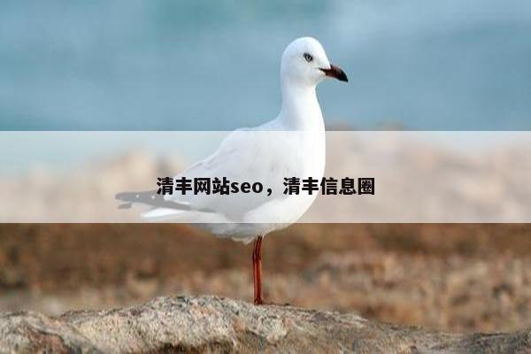 清丰网站seo，清丰信息圈
