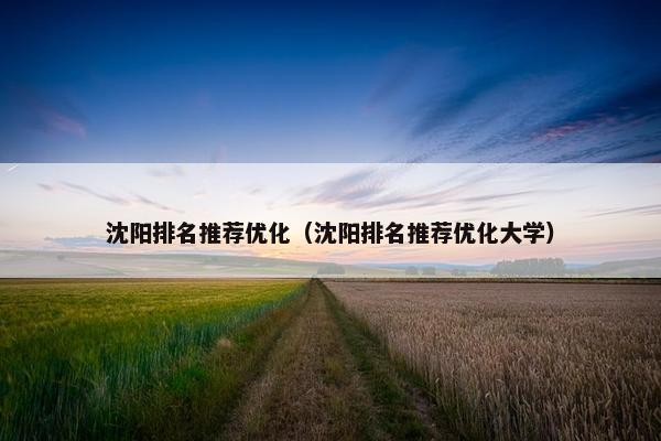 沈阳排名推荐优化（沈阳排名推荐优化大学）