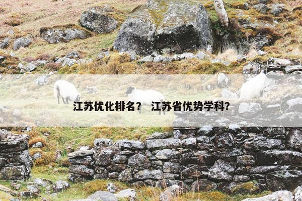 江苏优化排名？ 江苏省优势学科？