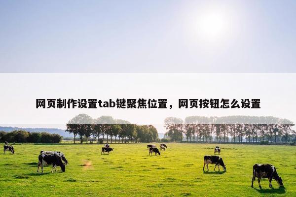 网页制作设置tab键聚焦位置，网页按钮怎么设置