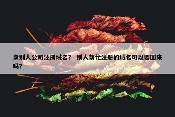 拿别人公司注册域名？ 别人帮忙注册的域名可以要回来吗？