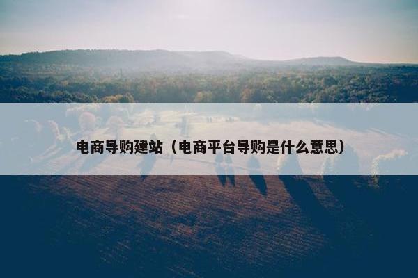 电商导购建站（电商平台导购是什么意思）